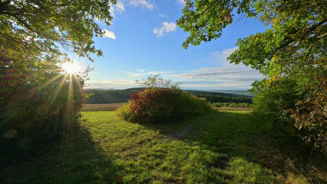 秋天阳光下的岔路口，Höhefeld, Wertheim, Baden-Württemberg，德国视频素材