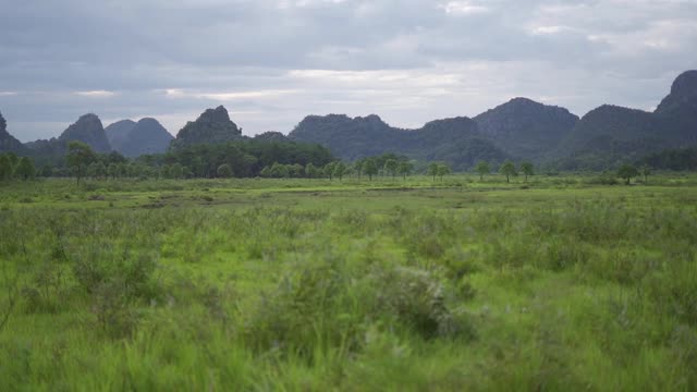 士兵在乡村的战场上奔跑。视频素材