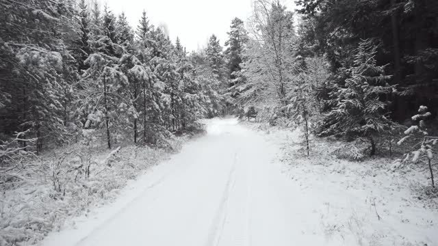 冬天的霜冻日，在美丽的雪林。视频素材