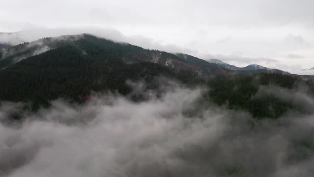 鸟瞰图。神秘的山景在一个多云的秋日。高原上雾蒙蒙的森林。自然背景。喀尔巴阡山脉。多云灰色冬季景观视频素材