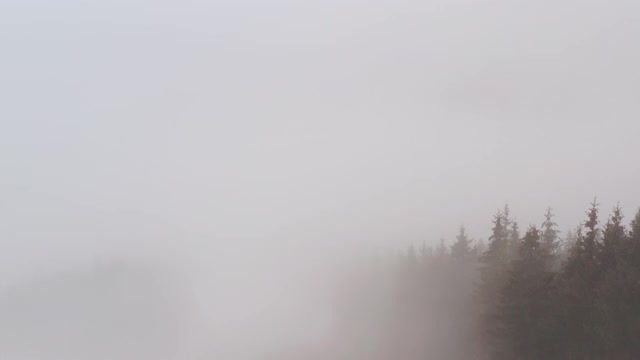 鸟瞰图。神秘的山景在一个多云的秋日。高原上雾蒙蒙的森林。自然背景。喀尔巴阡山脉。多云灰色冬季景观视频素材