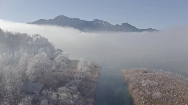 飞过有浓雾和积雪覆盖的树木的Kochel湖视频下载