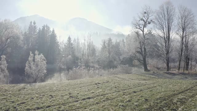 在浓雾弥漫、树木被雪覆盖的Kochel湖上攀登视频下载