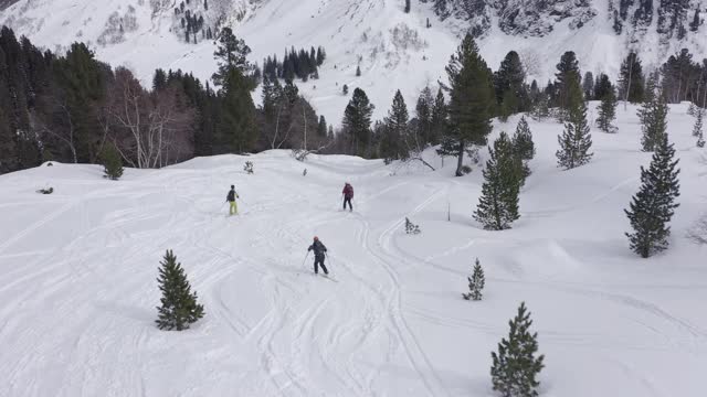 三个滑雪者穿过奥地利阿尔卑斯山的森林从山上下来视频下载