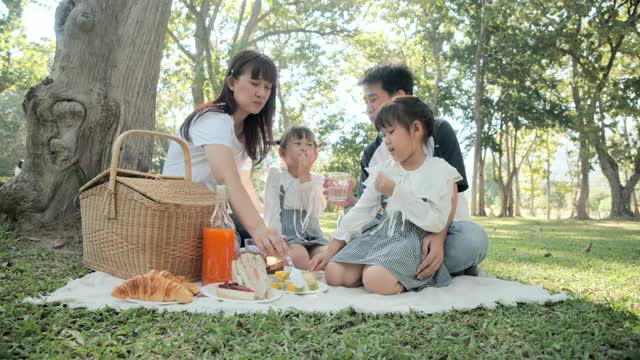 中年亚洲家庭享受野餐吃在公园，在公园的绿树。视频素材