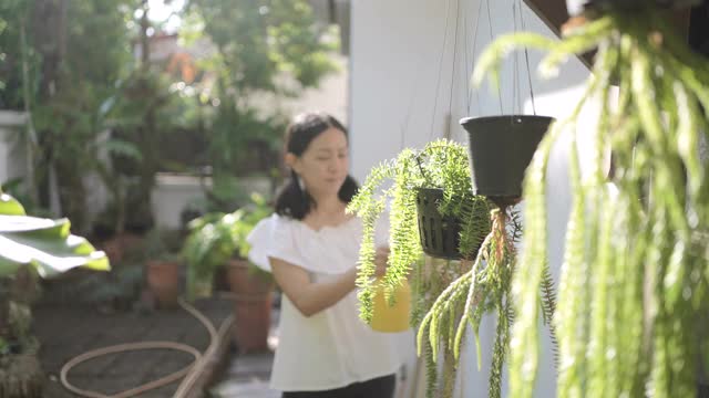 一位中年妇女在花园里种花。视频素材