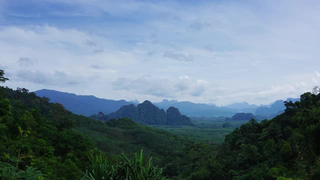 考索国家公园的雨林，时光流逝视频素材