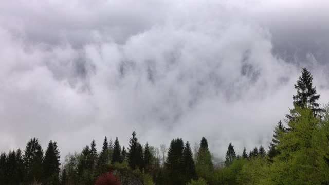 山地景观与树木在雾和云视频素材