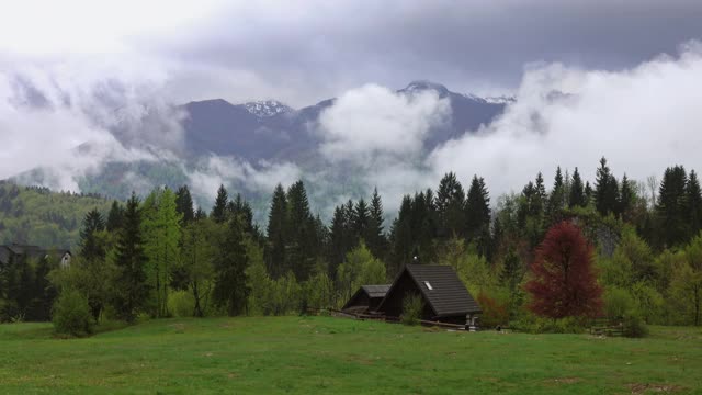 山景观与房屋和树木在雾视频素材