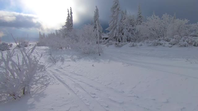 在寒冷的冰冻森林自然的高山滑雪场在清晨日出的冬季景观快速运动视频素材