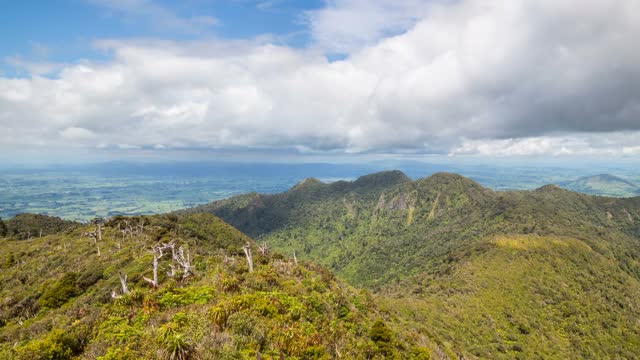 在阳光明媚的夏天，蓝云天空的野山森林在新西兰的自然景观视频素材