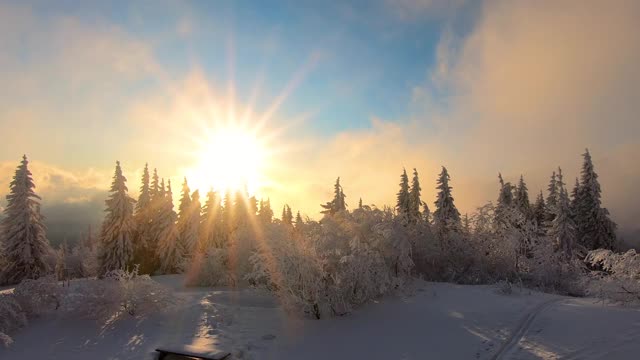 日出在冰冻的冬季森林自然与阳光之间的雪树在寒冷的12月早晨景观视频素材