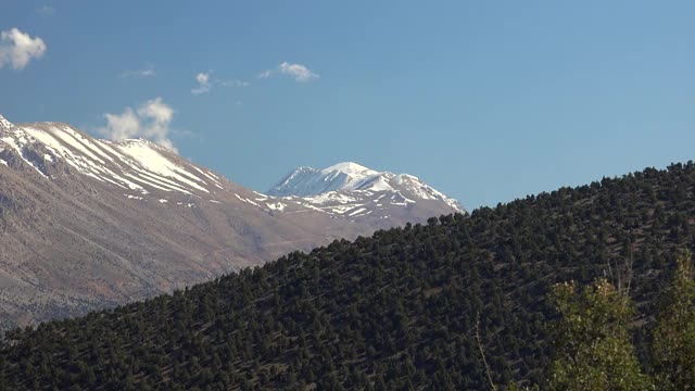 春季森林边缘连续雪山脊视频素材