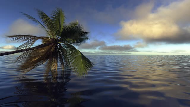 带着棕榈树在海边度过充满异国情调的暑假。酒店附近有一棵棕榈树的海滩。视频素材