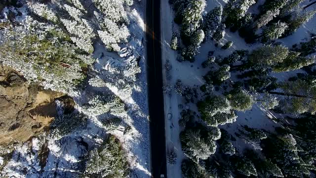 雪覆盖的树从鸟瞰图-太浩湖视频素材