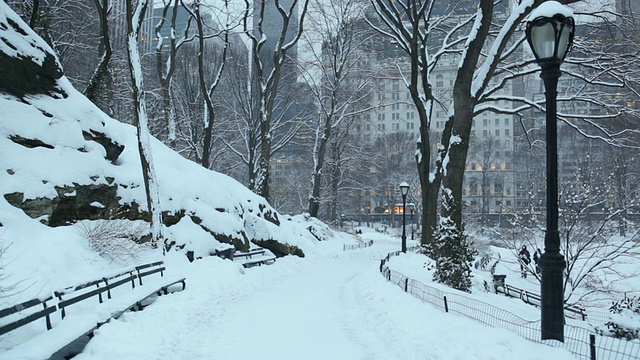 中央公园正在下雪视频素材