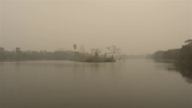 在一个有雾的冬天早晨，在Rabindra Sarobar湖。印度南加尔各答，西孟加拉邦。视频素材