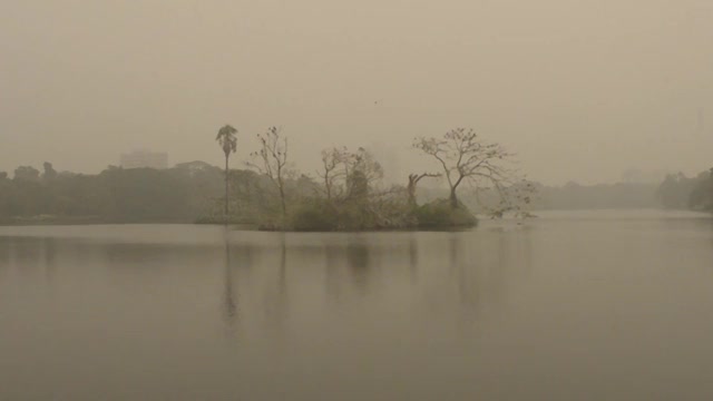 在一个有雾的冬天早晨，在Rabindra Sarobar湖。印度南加尔各答，西孟加拉邦。视频素材