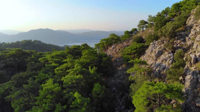 日落时分，空中飞过山岛上的松林。无人机飞过了树木和岩石的顶部。4K自然背景镜头。视频下载