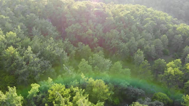 鸟瞰图飞行在松树森林的山日落。无人机飞过树梢。4K自然背景镜头。视频素材