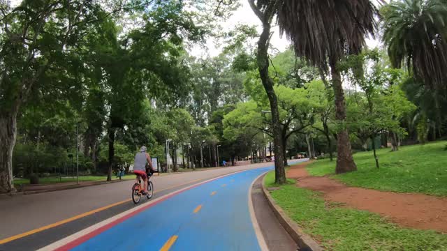 Ibiraouera公园视频素材