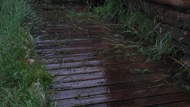 雨点落在乡间房子附近的木地板上。村子里下着大雨。下雨的季节。视频素材