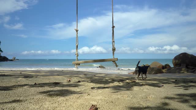 以海滩为背景的木制秋千。视频素材