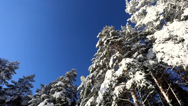 明亮的蓝色天空和树上的雪在一个寒冷的冬天的一天。摄像机圆周运动视频素材