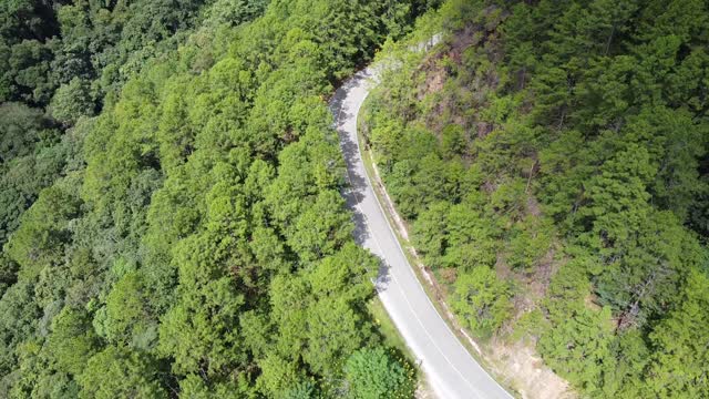 鸟瞰图的一辆汽车沿着山路通过热带森林在农村由无人机视频素材