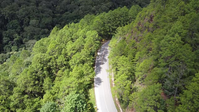 鸟瞰图的一辆汽车沿着山路通过热带森林在农村由无人机视频素材