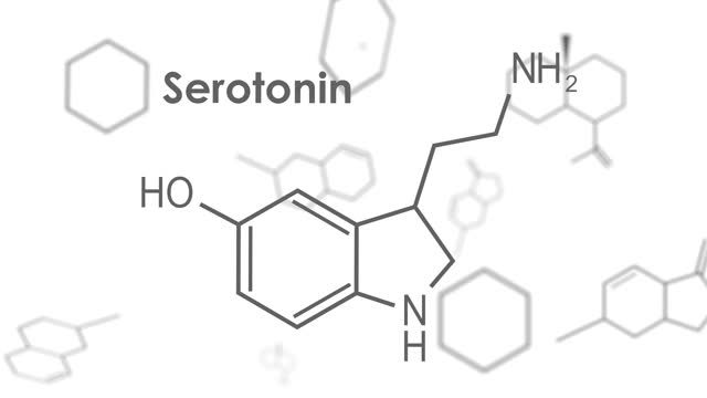 公式荷尔蒙血清素。视频素材