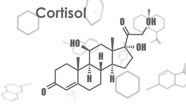 类固醇激素皮质醇视频素材