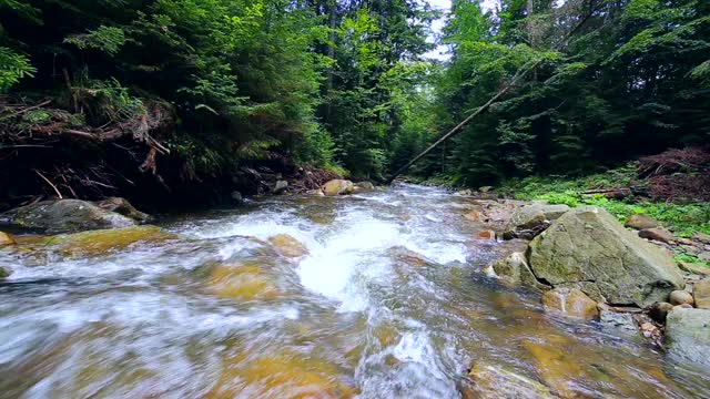 山区森林河流中湍急的水流视频素材