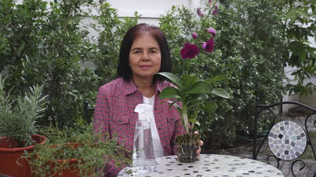 一位年长的女士坐在后院花园里的盆栽和兰花中间，微笑着视频素材