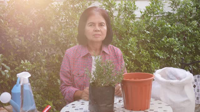 肖像拍摄一位快乐的退休亚洲资深妇女挥手，户外种植活动的概念视频素材