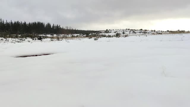 一对迷人的夫妇在山上的雪地里散步。浪漫的冬日假期和圣诞节场景。情人节,4 k。视频下载