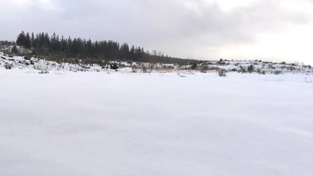 美丽的女人在山林的雪地里行走。穿一件淡紫色的夹克。冬季和冒险的概念。冻视频下载