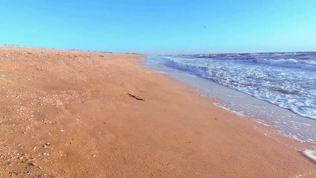 海浪视频下载