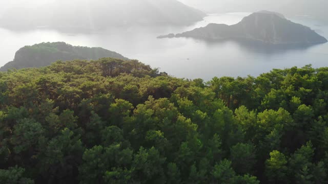 鸟瞰图飞行在山上岛屿松树林日落。无人机飞过树梢。4K自然背景镜头。视频下载