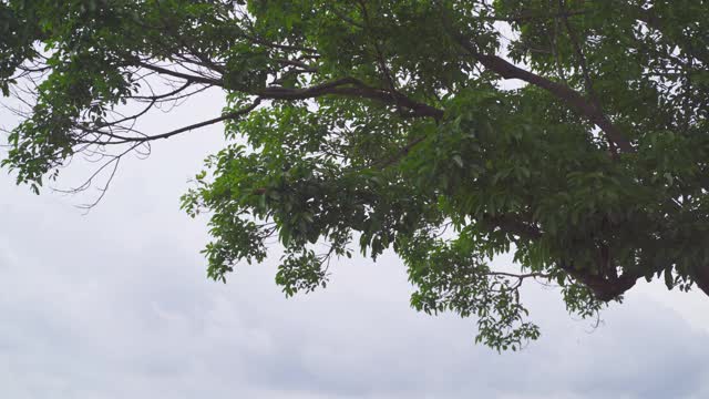 泰国普吉岛，美丽的安达曼海和三个海湾视频素材