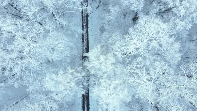 汽车通过积雪的森林小径移动的观点视频素材