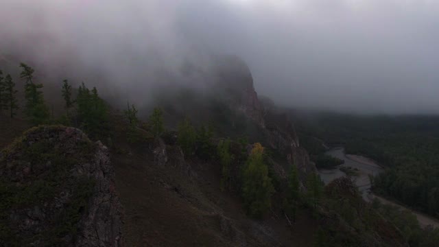 有雾的早晨，山上，森林和河流视频素材