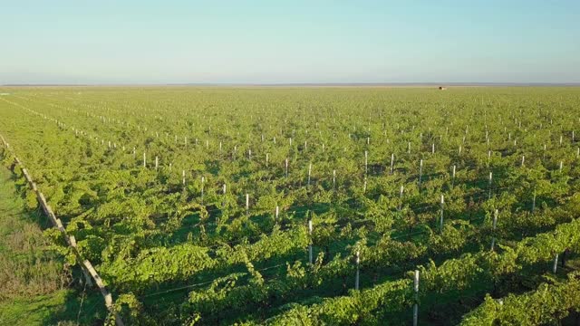 混凝土纹理的背景。混凝土灰墙背景视频素材