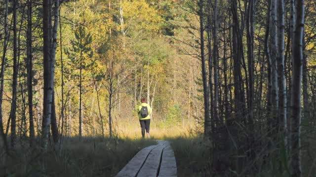 这位女士在自然保护区的森林小径上散步。地质学。赫尔辛基。Finland-October 9.2020视频素材