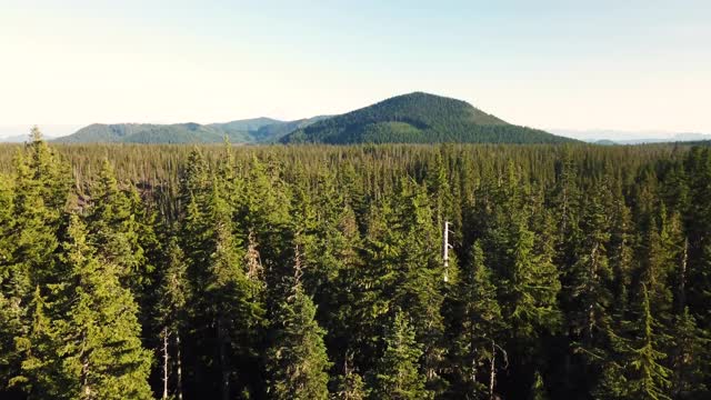 高山森林日落无人机户外探险视频素材