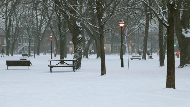 蒙特利尔公共公园的黄昏在暴风雪期间视频素材