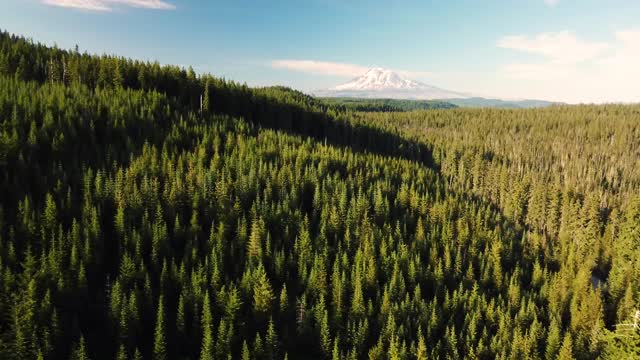 无人机太平洋西北山户外亚当斯山视频素材