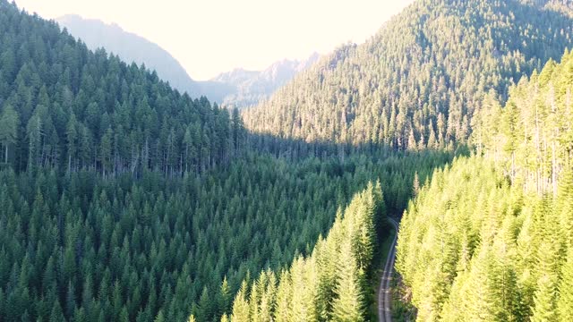 奥林匹克森林路无人机华盛顿视频素材