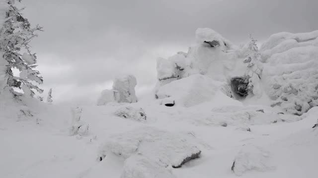 美丽的冬天的风景。杉树、岩石上覆盖着雪视频素材