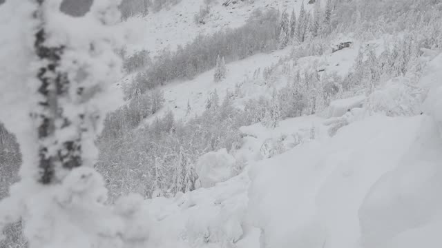 冬天森林里的暴风雪。壮观的山景，树上覆盖着白雪视频素材